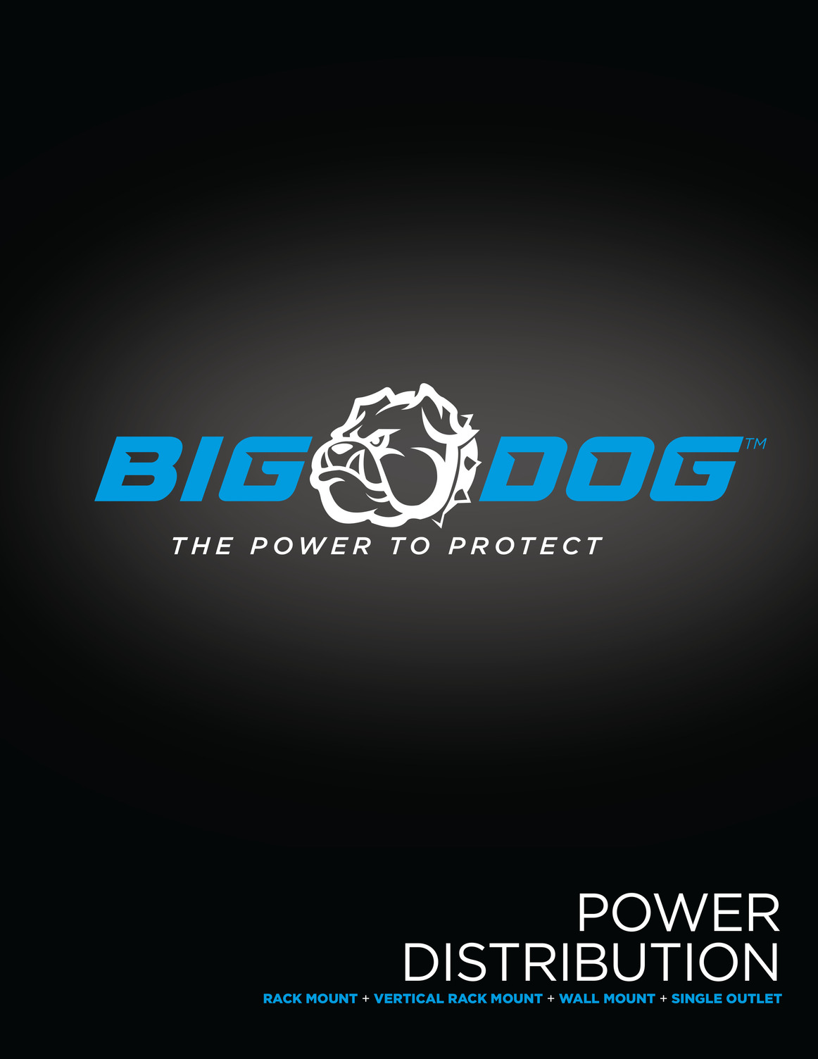 Big Dog Power Catalog