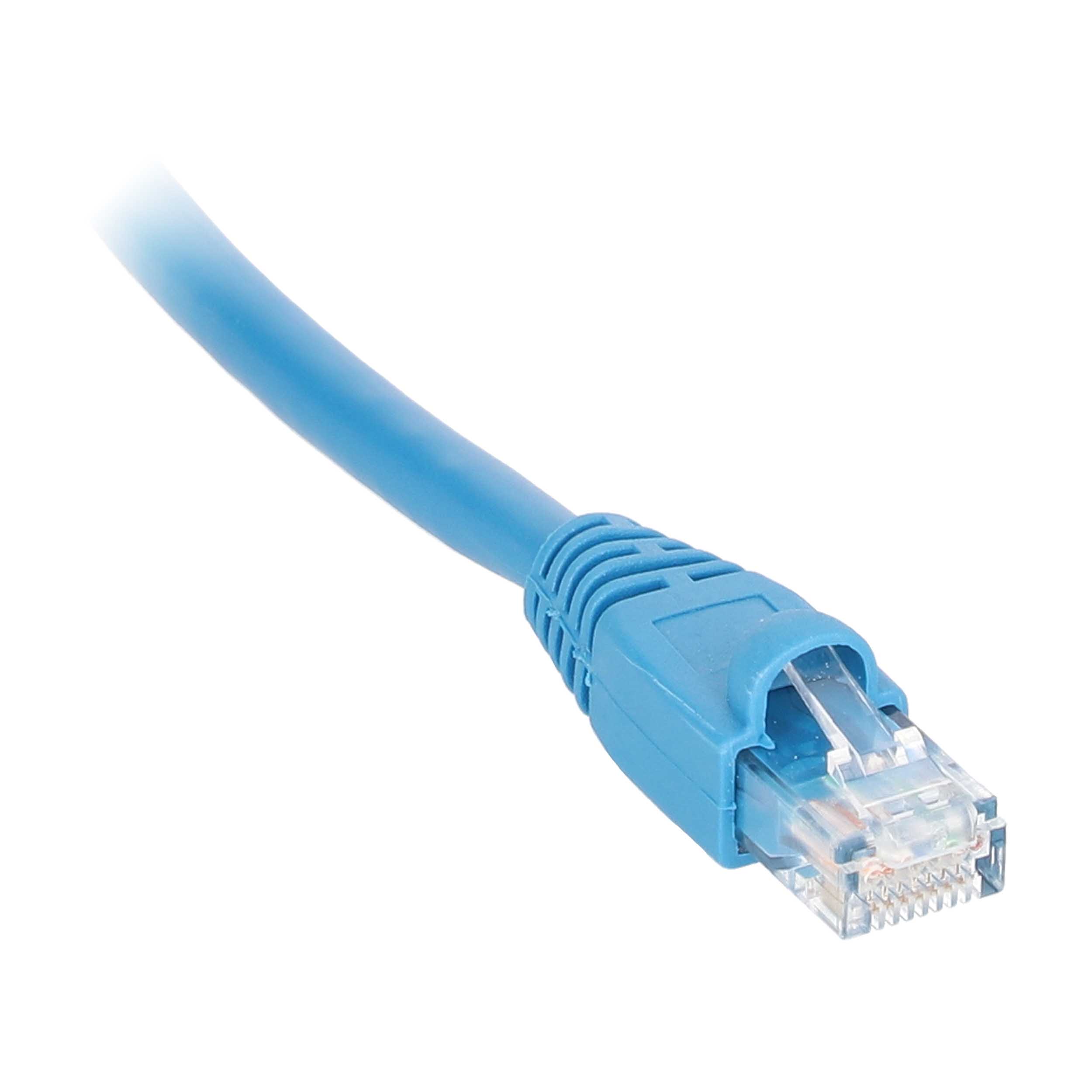 12IN BL CAT6 SNAGLESS PTCH CBL